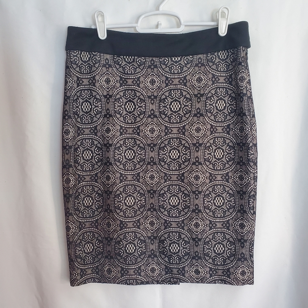 Womens The Limited Black Skirt with Nude Lining with Side Zipper Closure Size 6
